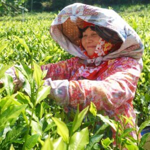 tea